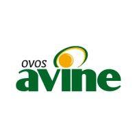 avine logo image