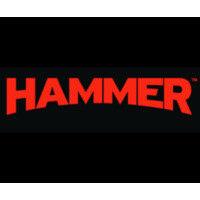 hammer films logo image