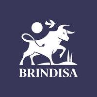 brindisa logo image