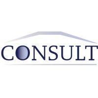 consult egypt logo image