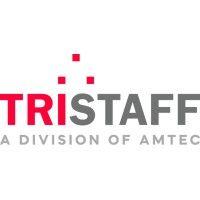 tristaff group of companies, division of amtec logo image