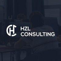 hzl consulting gmbh logo image