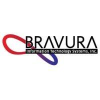 bravura information technology systems, inc. (bits) logo image