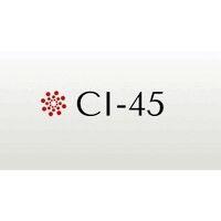 ci-45, llc