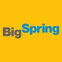 bigspring “analog” logo image