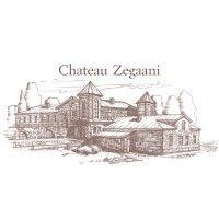 chateau zegaani llc logo image