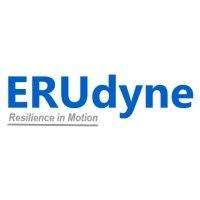 erudyne, inc. logo image