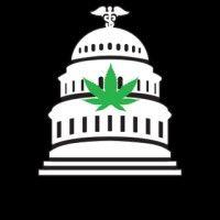 capital dank logo image