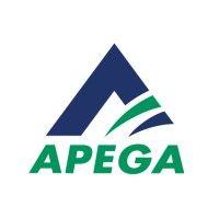 the association of professional engineers and geoscientists of alberta (apega)