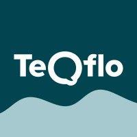 teqflo | tech & business consulting logo image