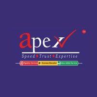 apex consultants middle east dmcc logo image