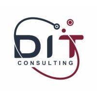 dit consulting logo image