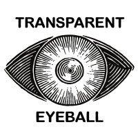 transparent eyeball logo image