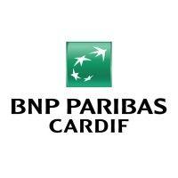 bnp paribas cardif logo image