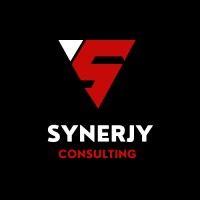 synerjy consulting logo image