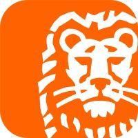 ing poland logo image