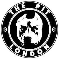 the pit london logo image