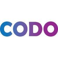 codo - online camps & classes