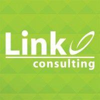 link consulting services (linkcs)