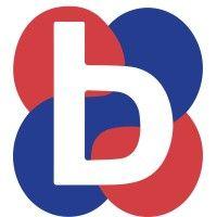 base (british association for supported employment) logo image