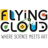 flying cloud institute logo image