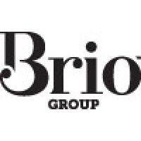 brio group logo image