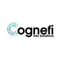 cognefi info solutions pvt ltd