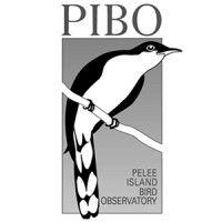 pelee island bird observatory logo image