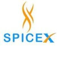 spicex logo image