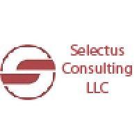 selectus consulting llc logo image