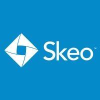 skeo solutions logo image