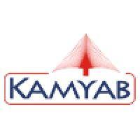 kamyab infotech pvt ltd logo image