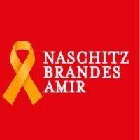 naschitz, brandes, amir & co. logo image