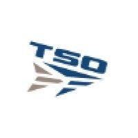 tso armor and training logo image