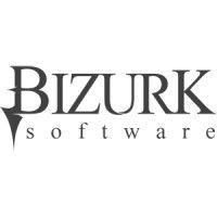 bizurk software logo image