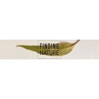 finding nature logo image