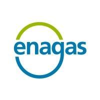 enagás logo image