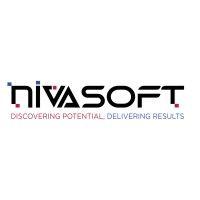 nivasoft logo image