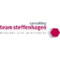 team steffenhagen consulting gmbh logo image