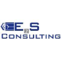 e2s consulting