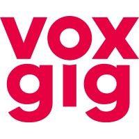 voxgig logo image