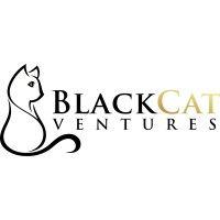 blackcat ventures logo image