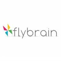 flybrain logo image