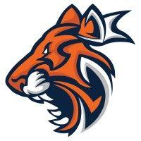 auburn esports logo image