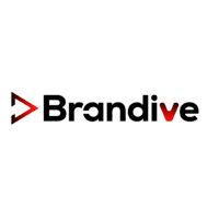 brandive logo image