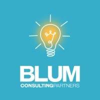 blum consulting partners, inc.