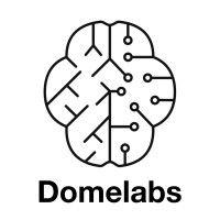 domelabs ai logo image