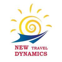 new travel dynamics agency logo image