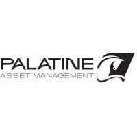 palatine am logo image