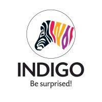 indigo paints limited logo image